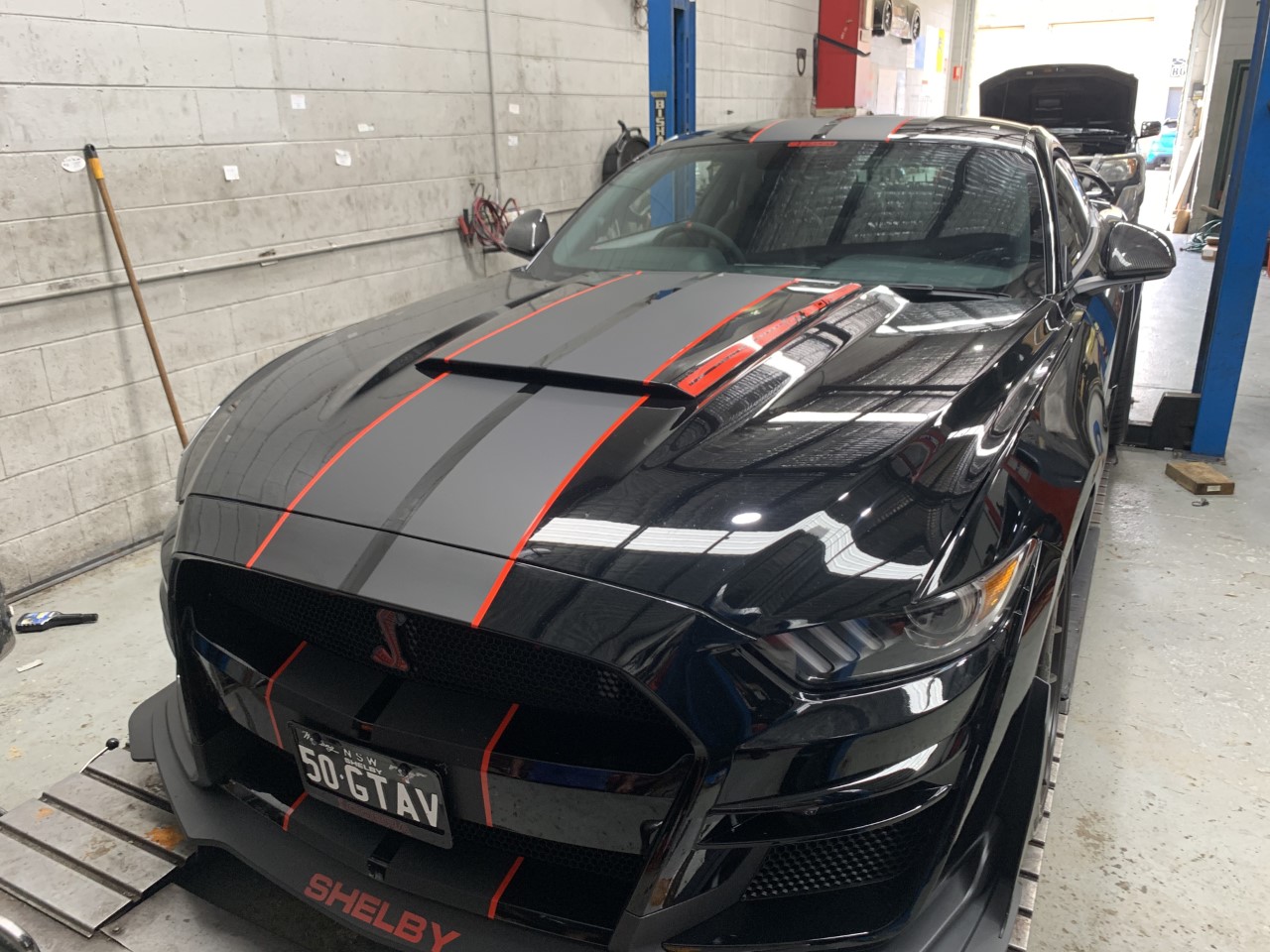 mustang